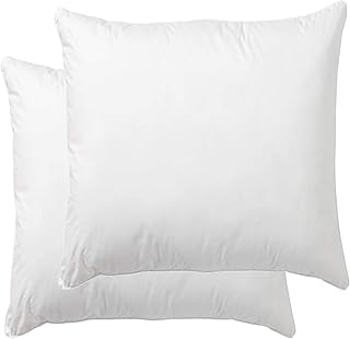 Square Throw Pillow Insert, Decorative Pillow Stuffer, Down and Feather Filled, Cotton Fabric (White), 22x22, Set of 2, Suitable for Home, Bed
