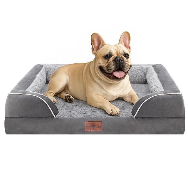 Comfort Expression Camas para Perros medianos, Impermeables, ortopédicas, de Espuma