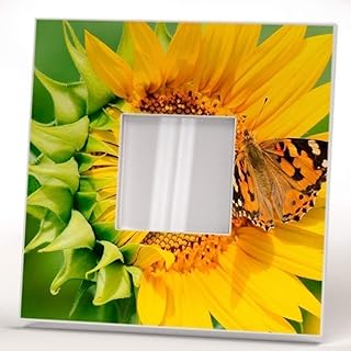 Butterfly on Sunflower Wall Framed Mirror with Flower Decor Art Printed Home Roo - Compare price