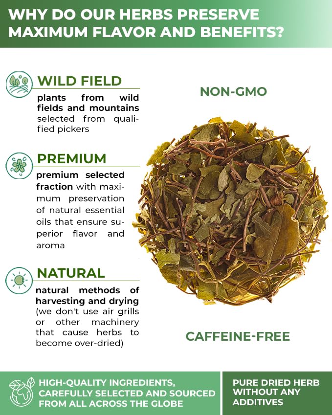 Image of 1.8 oz. Dried Cut Sidebells Wintergreen Herb Tea (Orthilia Secunda) - 50 g One-Sided Wintergreen Herbal Tea Orthilia (Peralito)