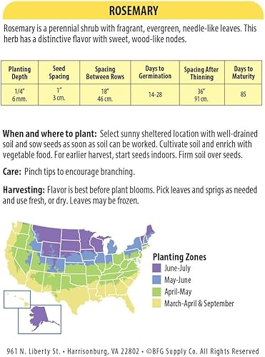 Miniatura 2 de Seed Rosemary Seed, 175mg Packet, 10-Pack