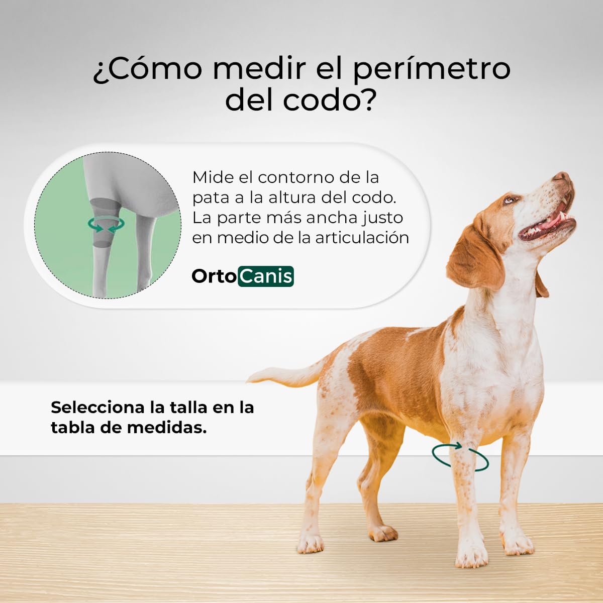 Ortocanis - Protector de Codo para Perro - Codera para Pierna Derecha - Artritis Crónica, Displasia y Lesiones Cutáneas - Ayuda a Reducir Dolor e Inflamación - Talla: L 20,6-25 cm