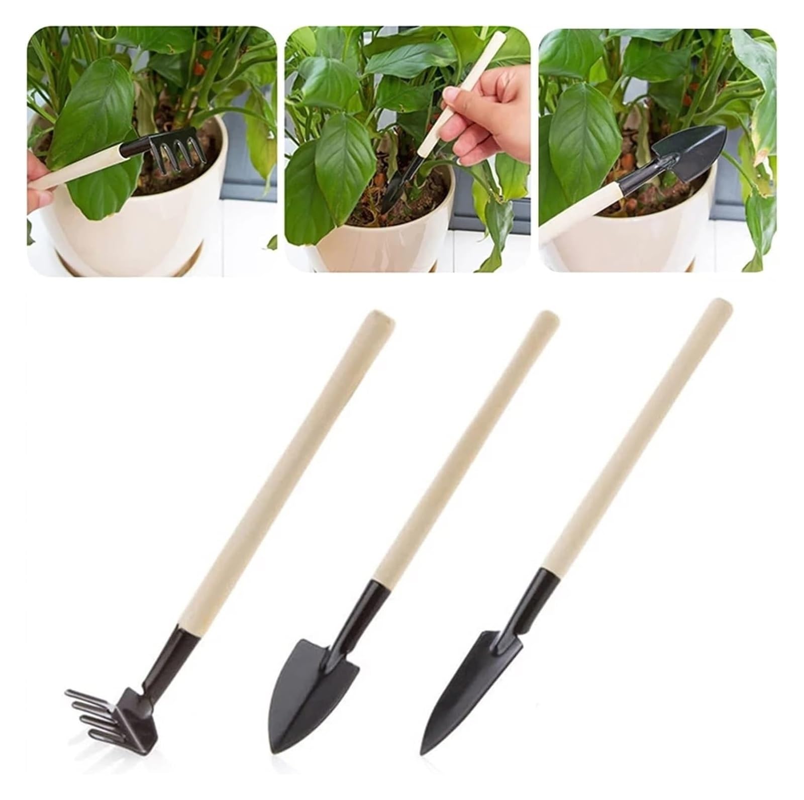 Attrezzi da giardinaggio, attrezzi per trapianto di piante 3 pezzi/set Attrezzi da giardinaggio Manico in legno Piante in vaso in acciaio inossidabile Pala Rastrello Vanga per fiori Sementi di piant