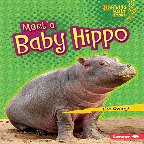 Meet a Baby Hippo by Lisa Owings episode artwork