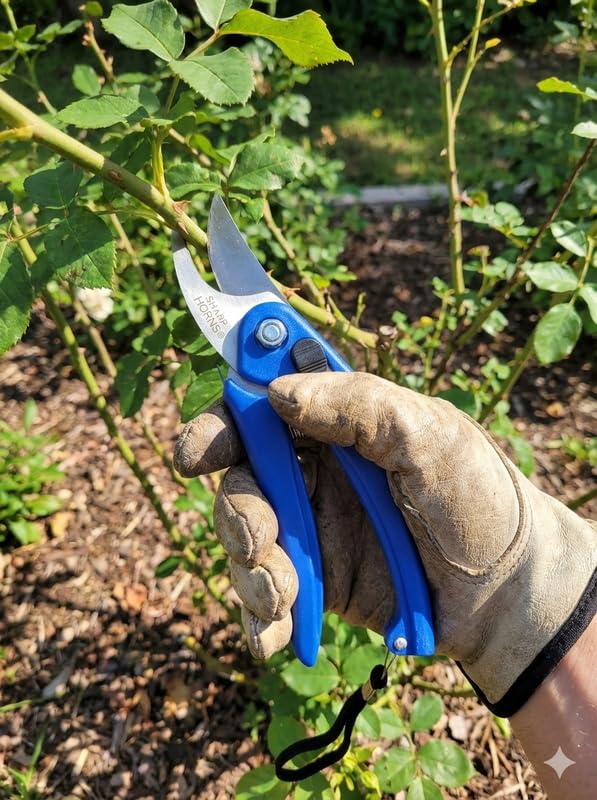 Image of 4 in 1 Gardening Tool Set - Trowel, Fork, Cultivator & Pruner with Wooden Handle for Digging, Planting, Weeding & Trimming