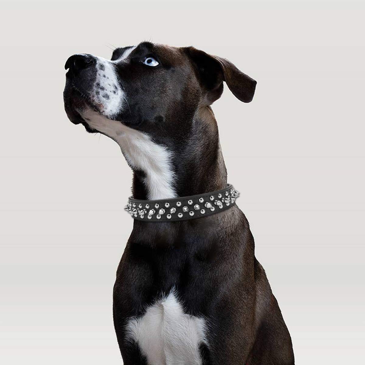 Leder-Hundehalsband Mit Nieten – Robustes Echtleder Mit Metall-Spikes, Für Alle Rassen