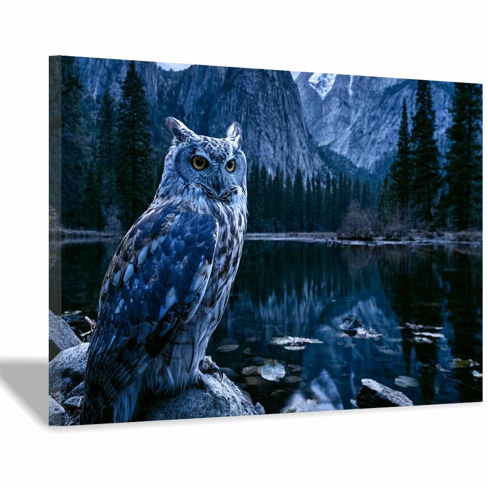 Tableau chouette des forêts PUQAAEO 20x30cm décoration murale avec cadre en bois pour salon