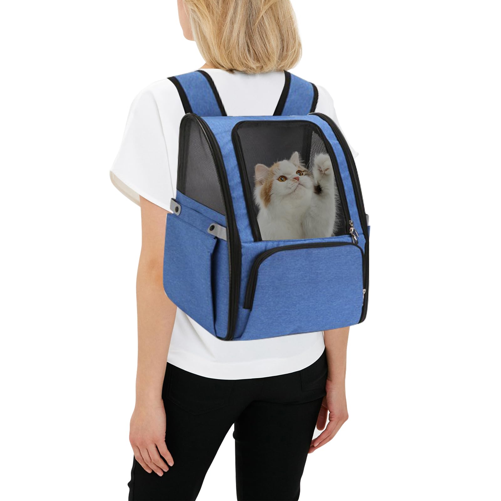 PETCUTE Borsa Trasportino per Cani Gatti Estensibile,Borsa da Trasporto per Animali Domestici,Traspirante Trasportino Gatto Cane con Tasche Laterali,Zaini Trasporto Cane per Viaggio Auto Treno