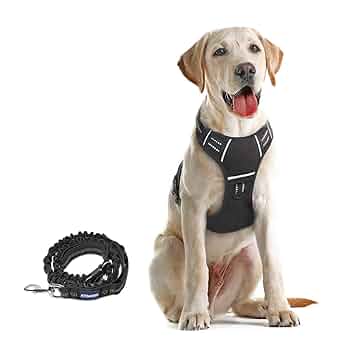 NEIGHBORHOOD Dog Leash Gray ネイバーフッド ドッ NEIGHBORHOOD Dog Leash Gray ネイバーフッド ドッ