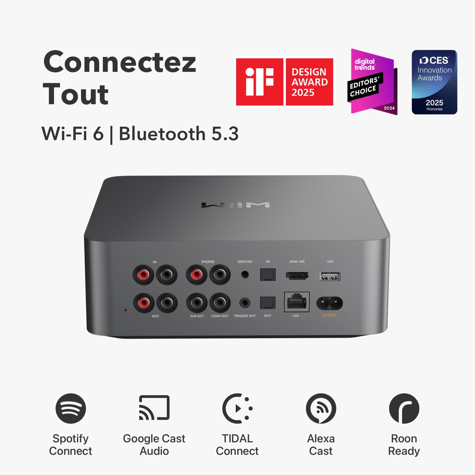 WiiM Ultra Music Streamer & Préampli Numérique | Écran Tactile de 3,5", Compatible avec Google Cast & Alexa,Diffusion de Spotify, Amazon Music,Tidal | HDMI ARC,Entrée Phon&Sortie Casque | Gris Spatial