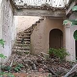 araruama rio de janeiro fotos  Araruama