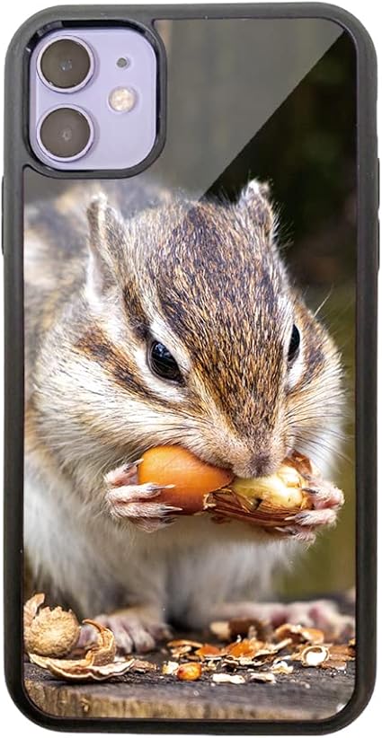 Amazon Co Jp Iphone 12 Mini 動物 ペット 可愛い りす リス 強化ガラス Tpu スマホケース 小動物 Iphone12mini ケース ハードケース デザインe B0263 01 家電 カメラ Amazon Co Jp Iphone 12 Mini 動物 ペット 可愛い りす リス 強化ガラス Tpu スマホケース 小動物 Iphone12mini ケース ハードケース デザインe B0263 01 家電 カメラ