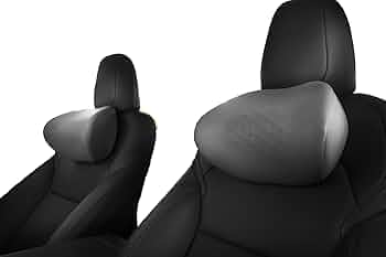 6100bAxqpnL._AC_UF350,