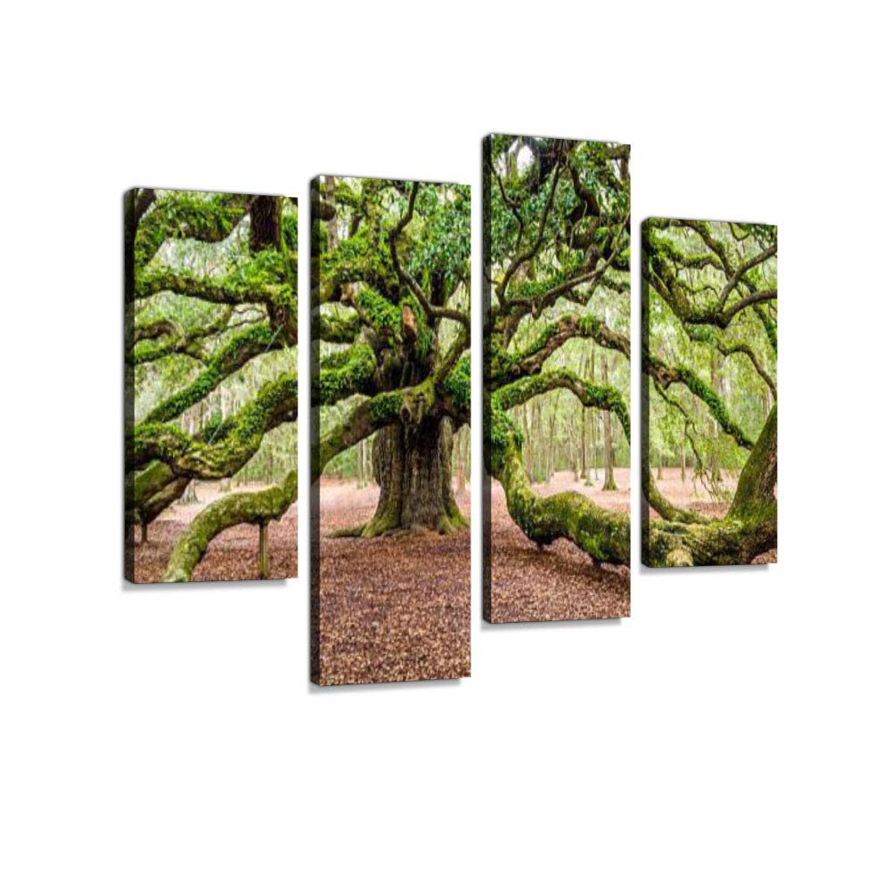 Angel Oak Tree Johns Island South Carolina SC Canvas Wall Art Hanging Paintings Modern Artwork Abstract Picture Prints Home Decoration Gift Unique Designed Framed 4 panel