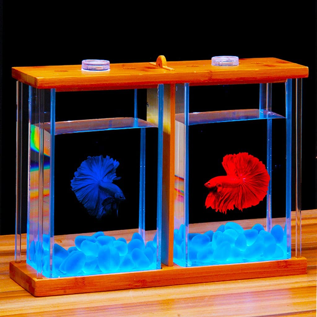 Pecera Creativa de Cristal Bilateral, Transparente, Betta, Rectangular, pequeña Planta de Agua Ornamental, Oficina, hogar, Acuario