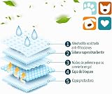 Ver la foto 2