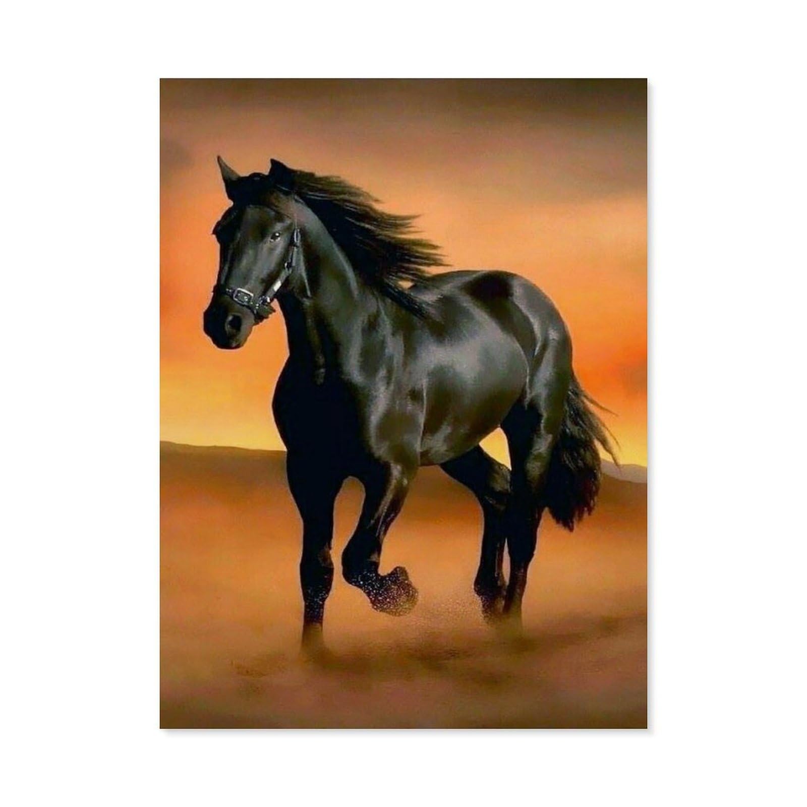BEAYODKP Paint by Numbers for Adults,Black Horse,DIY Paint by Numbers Kits for Adults Kids on Canvas with Brushes and Acrylic Pigment Oil Painting Kits Home Decor Gift(40x50cm) 15.7x19.6 inches-B37 — image 1