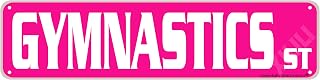 Gymnastics Street Sign Rustic Metal Sign Door Name Plate Plaque Home Garage Man Cave Bar Wall Decor Art 8 x 12 Inch