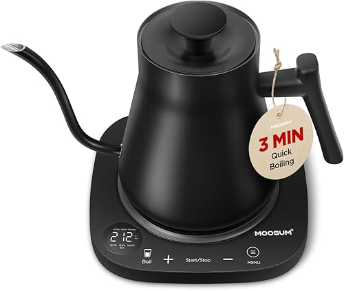 Hervidor eléctrico de cuello de cisne, hervidor de té eléctrico de 0.8 L preestablecidos con control de temperatura, tetera para café, tetera,