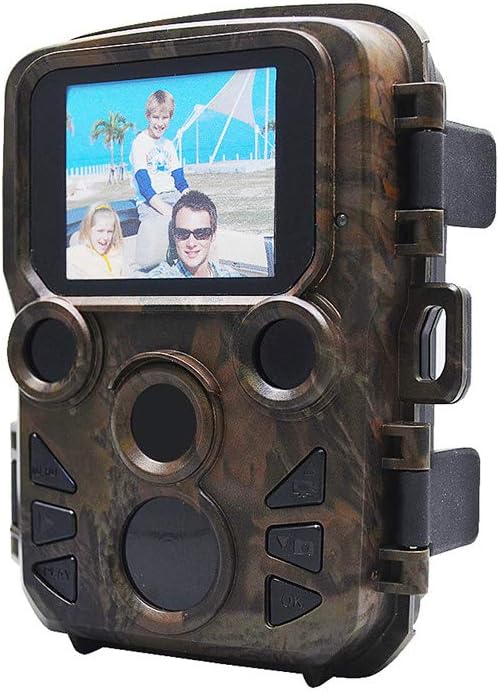 guide di campo per piante selvatiche