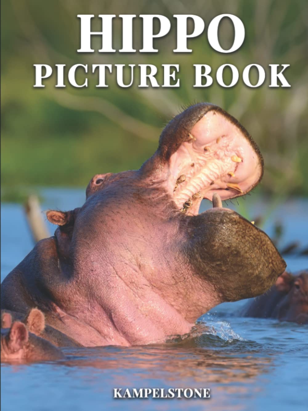 Hippo Picture Book: 100 Beautiful Images of Hippopotamuses - Great Housewarming Gift or Hardcover Coffee Table Decor