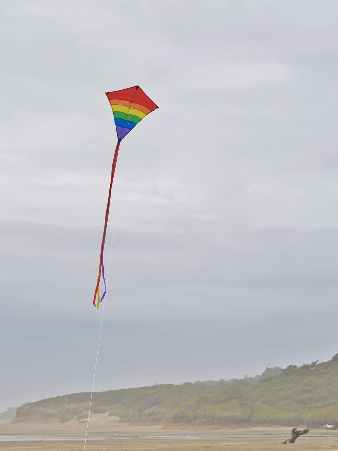In the Breeze Rainbow 27 Inch Diamond Kite - Single Line - Ripstop Fabric - Includes Kite Line and Bag - Great Beginner Kite