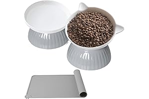 Elevated Ceramic Cat Bowls: Optimal Feline Dining Experience