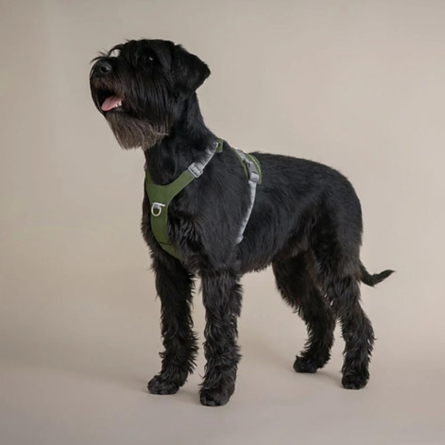 Hurtta Rover Hundegeschirr (Cinnamon, Orange, 55-70 cm)
