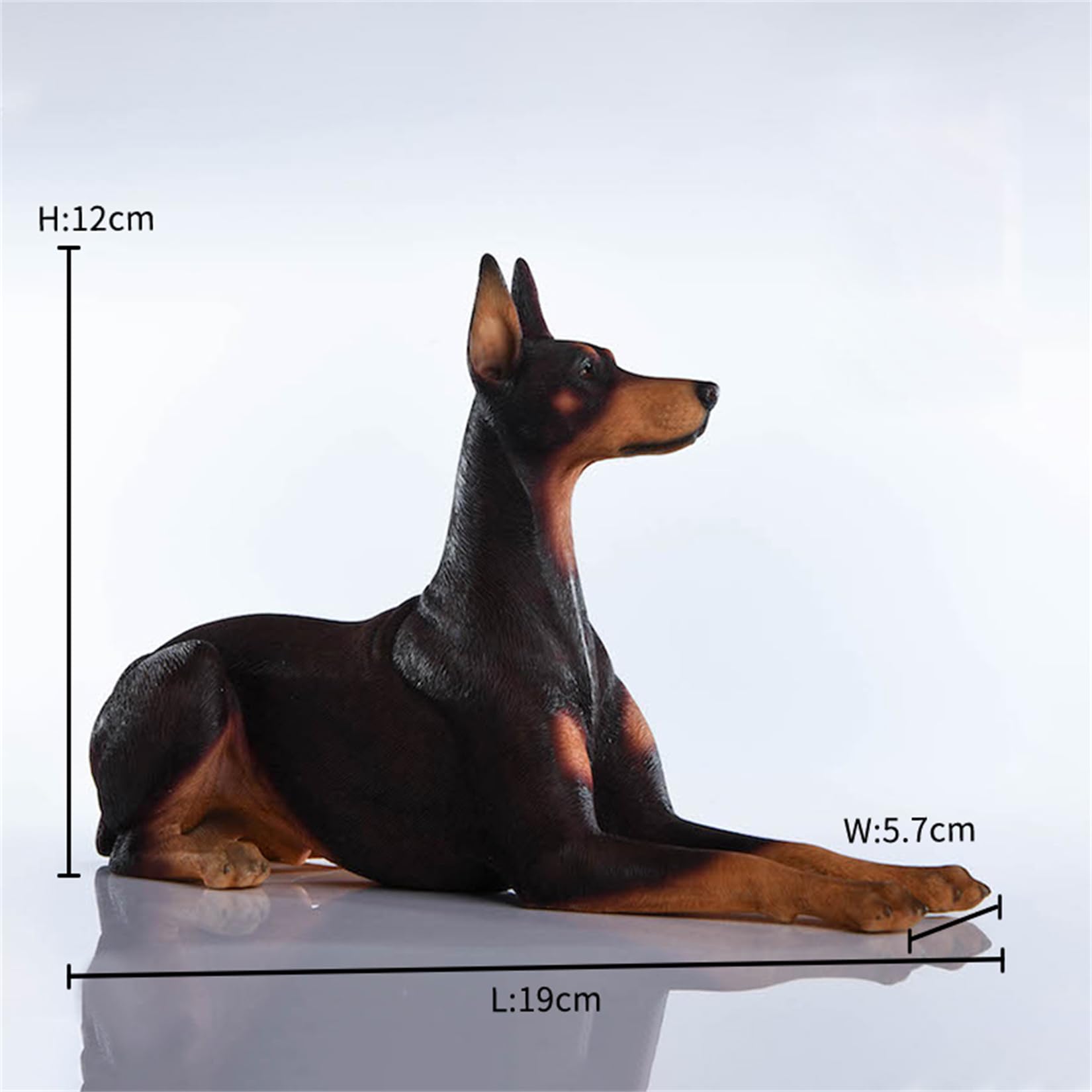 Amazon.com: Lana Toys WLNTDOLA 1:6 Scale Doberman Pinscher Dog