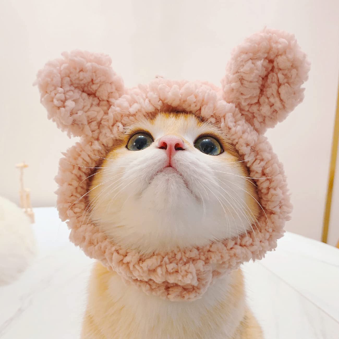 lemmikki ネコスカ ヘビ猫パネル柄 ラミネート 図鑑シリーズ 猫模様図鑑 オックスラミネート