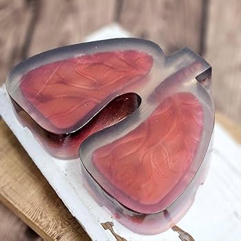 Amazon.co.jp: ノーブランド品 肺型灰皿 禁煙グッズ 喫煙具 プレゼント