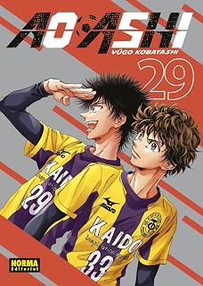 Ao Ashi 29