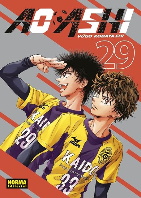 Portada de Ao Ashi 29