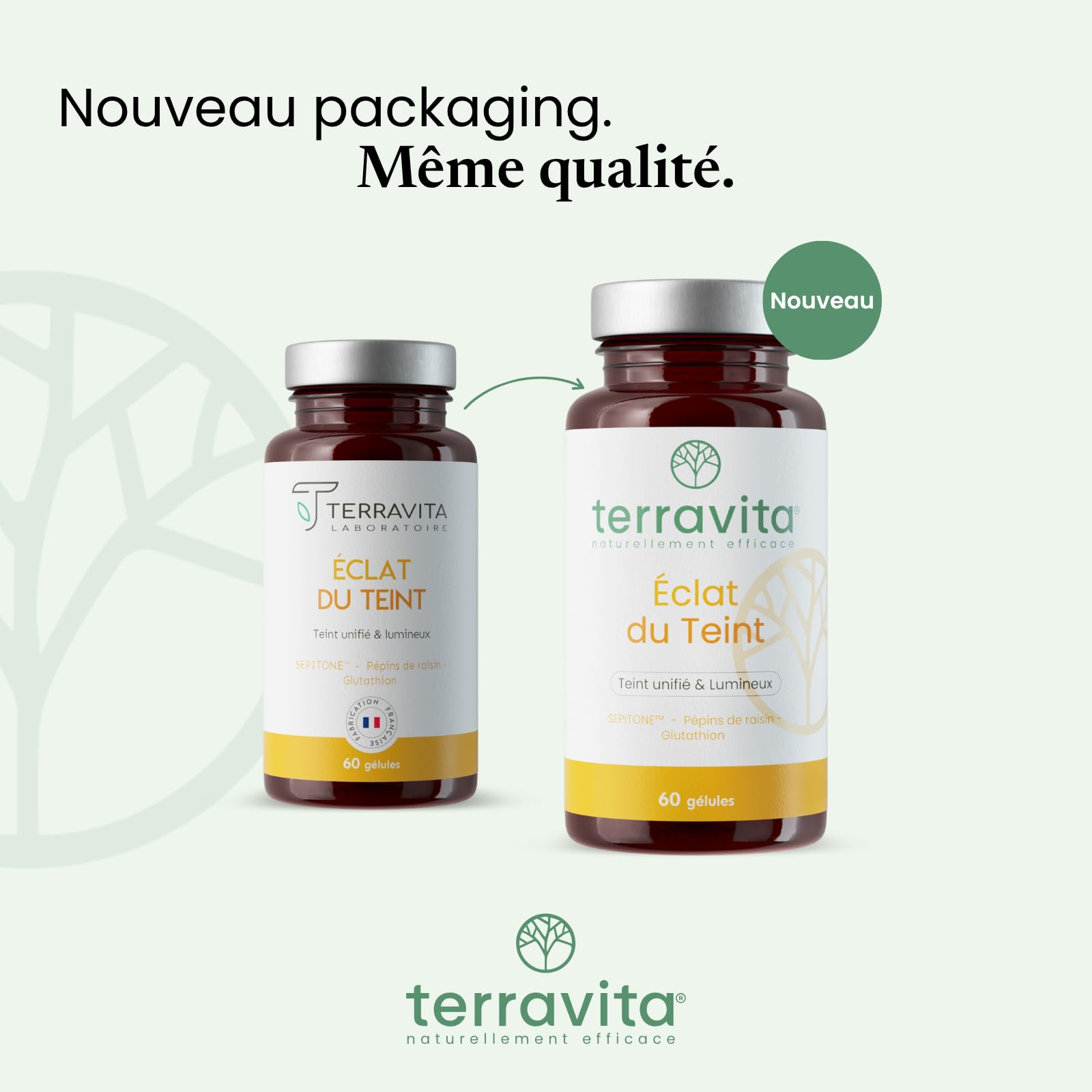 Eclat du Teint | Pépins de Raisin OPC + Extrait de Myrtille SEPITONE + Vitamine C + Glutathion Réduit | Peau Éclatante et Unifiée | Action Antioxydante | 60 Gélules Vegan | Made in France | Terravita