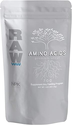 RAW Aminoácidos: suplemento nutritivo vegetal prémium