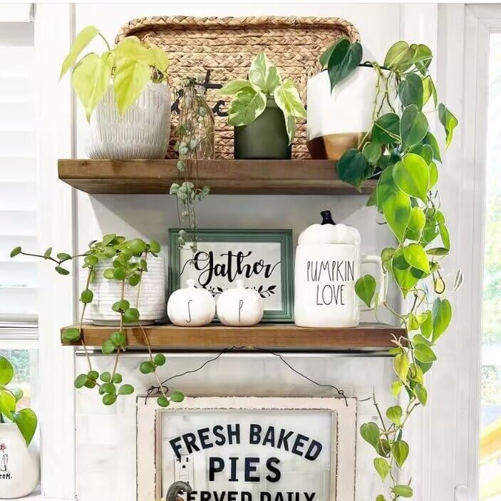 https://m.media-amazon.com/images/I/6101F9t7REL._AC_.jpg