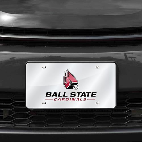 Vista 965 de Rico Industries Placa de matrícula de metal con incrustaciones láser de Florida Gators de la NCAA Alternativo