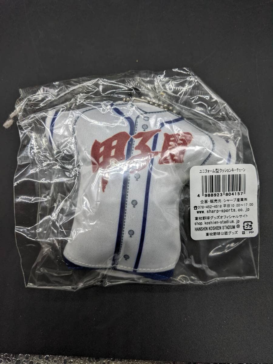 Amazon.co.jp: 第87回 甲子園 選抜 高校野球 豊橋工業高校
