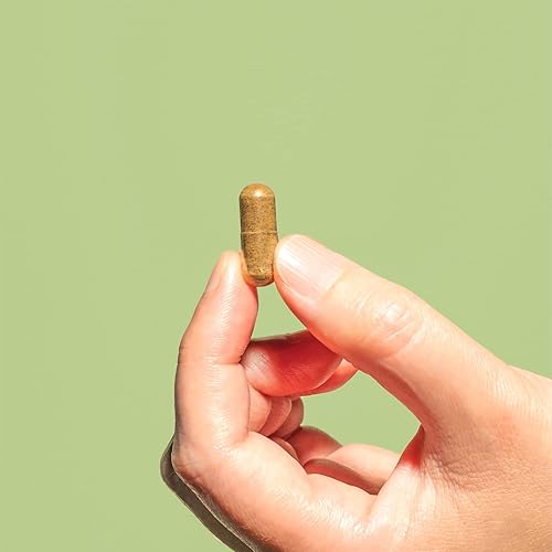 Miniatura 5 de Plant People - Potencia inmunológica  Apoyo inmunológico avanzado con hongos, astrágalo, hierbas y vitamina C  Natural, orgánico USDA, vegano, sin