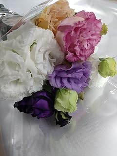 新鮮なトルコギキョウ リシアンサス切り花