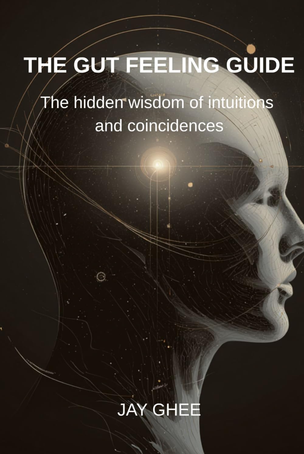 The gut feeling guide: The hidden wisdom of intuitions and coincidences