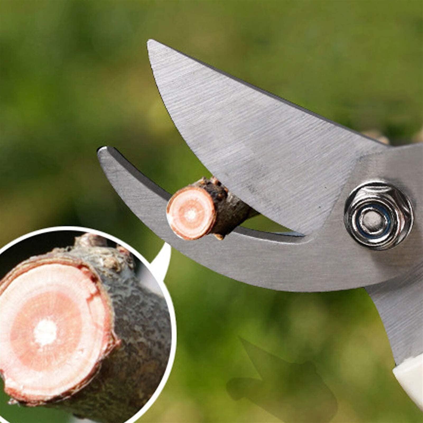 Forbici da Giardinaggio in Acciaio Inossidabile Attrezzi per innesto Cesoie per potatura Alberi Cesoie per potatura Bonsai Cesoie per potatura da Giardinaggio (Dritto)