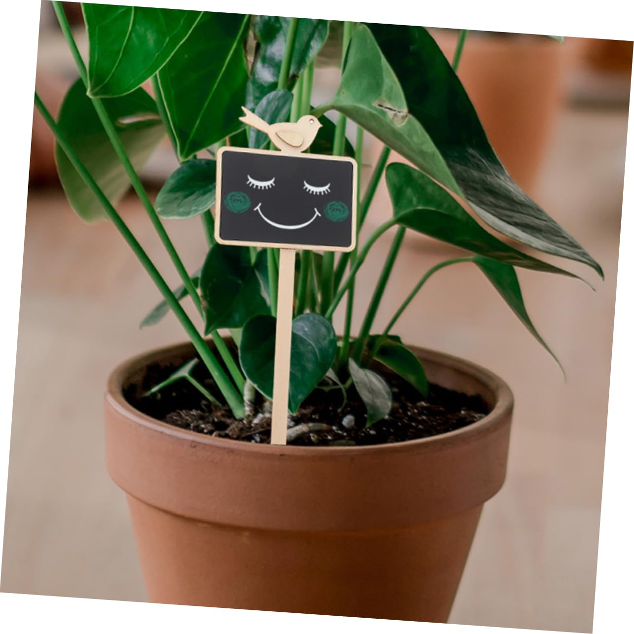 TOYANDONA 50pièces Étiquettes De Jardin Ardoise Lot De Marqueurs Pour Plantes Identifiez Facilement Vos Fleurs Et Légumes Accessoires De Jardinage Pratiques Et Panneaux Décoratifs Pour