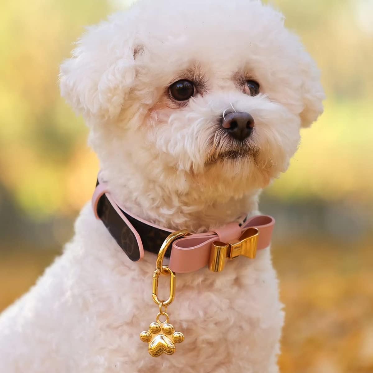 Dogs ID Tags Personalized Double Sided Deep Engraved Cat & Dog Collar Charm Paw Balloon Shape Brass image 2