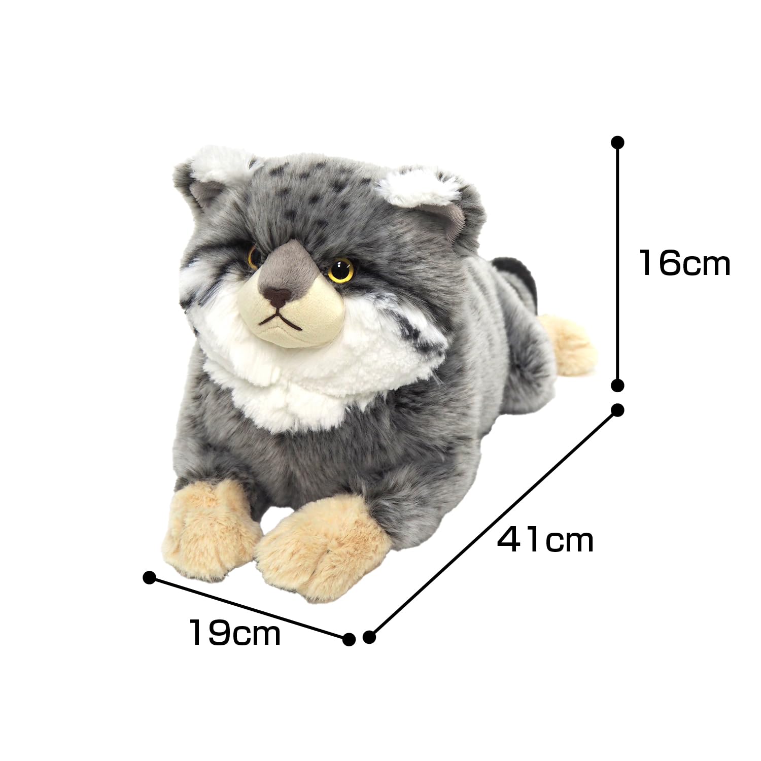Amazon.co.jp: サンレモン ひざねこ マヌルネコ S 19×41×16cm
