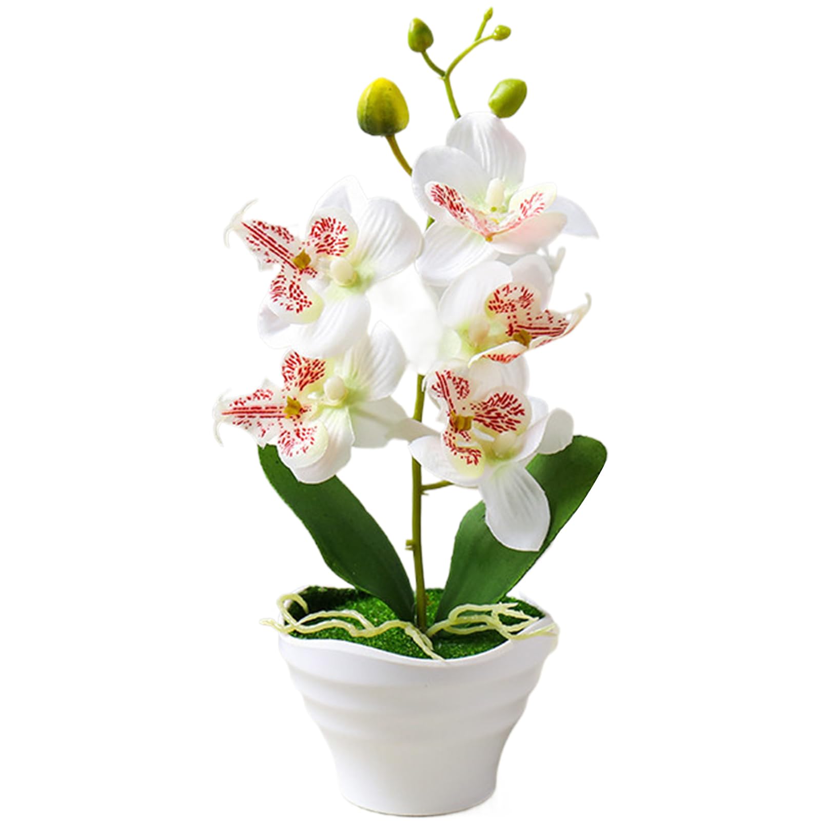 Orchidée artificielle en pot 26,7 cm Phalaenopsis 5 têtes avec vase