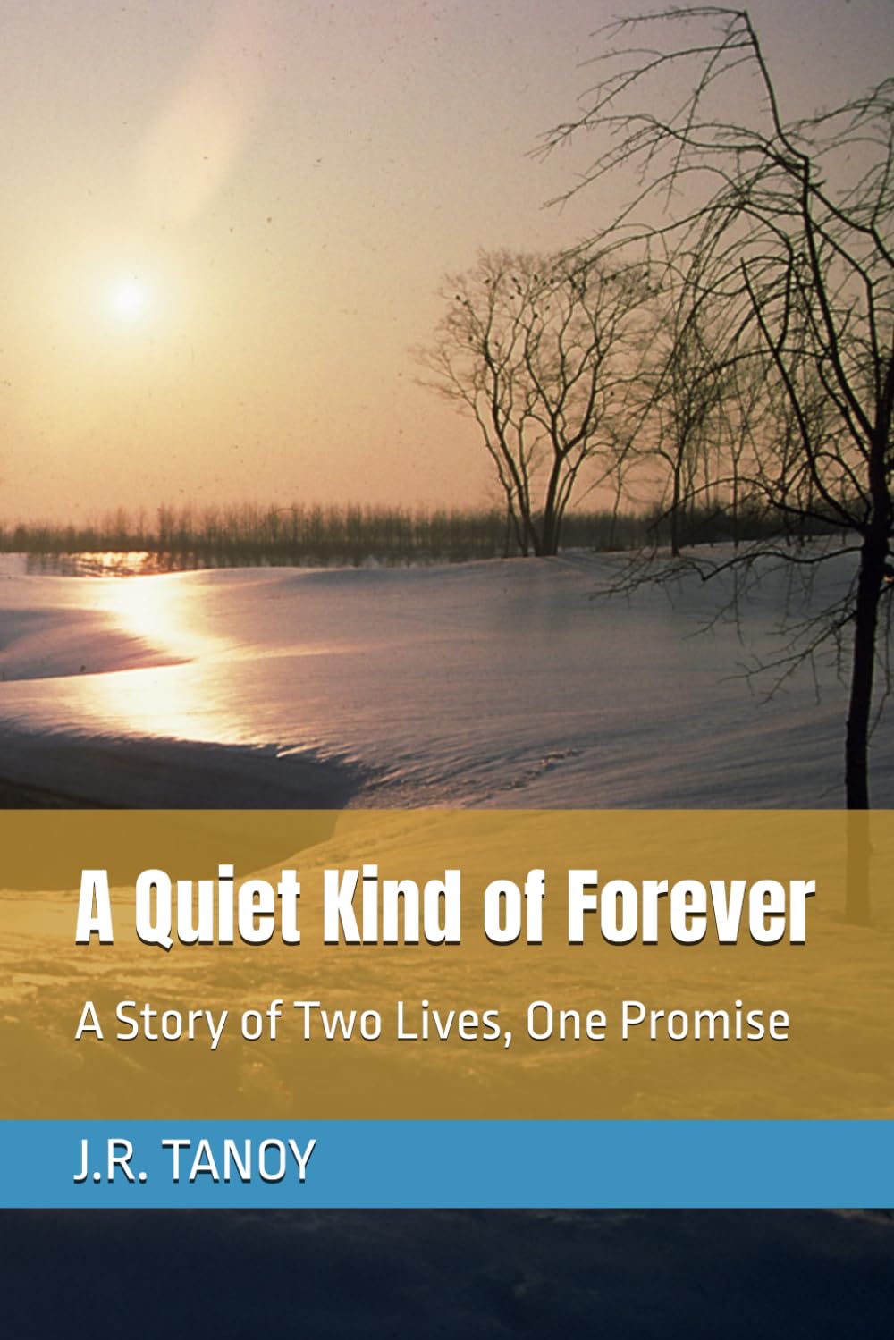 A Quiet Kind of Forever: A Story of Two Lives, One Promise