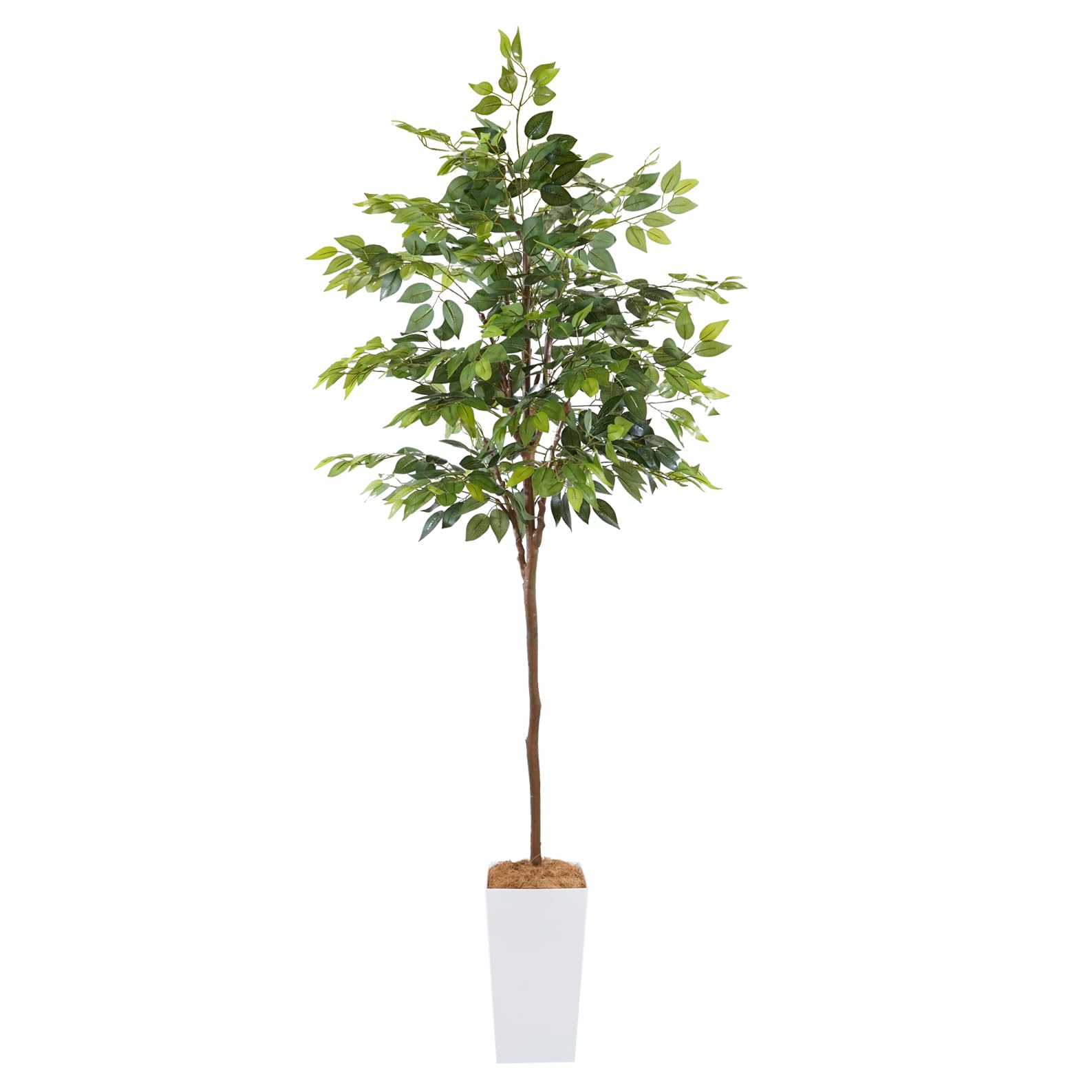 【在庫セール】Botanical life+ フェイクグリーン 観葉植物 光触媒 Amazon｜Botanical life+ フェイクグリーン 観葉植物 光触媒 大型 消臭