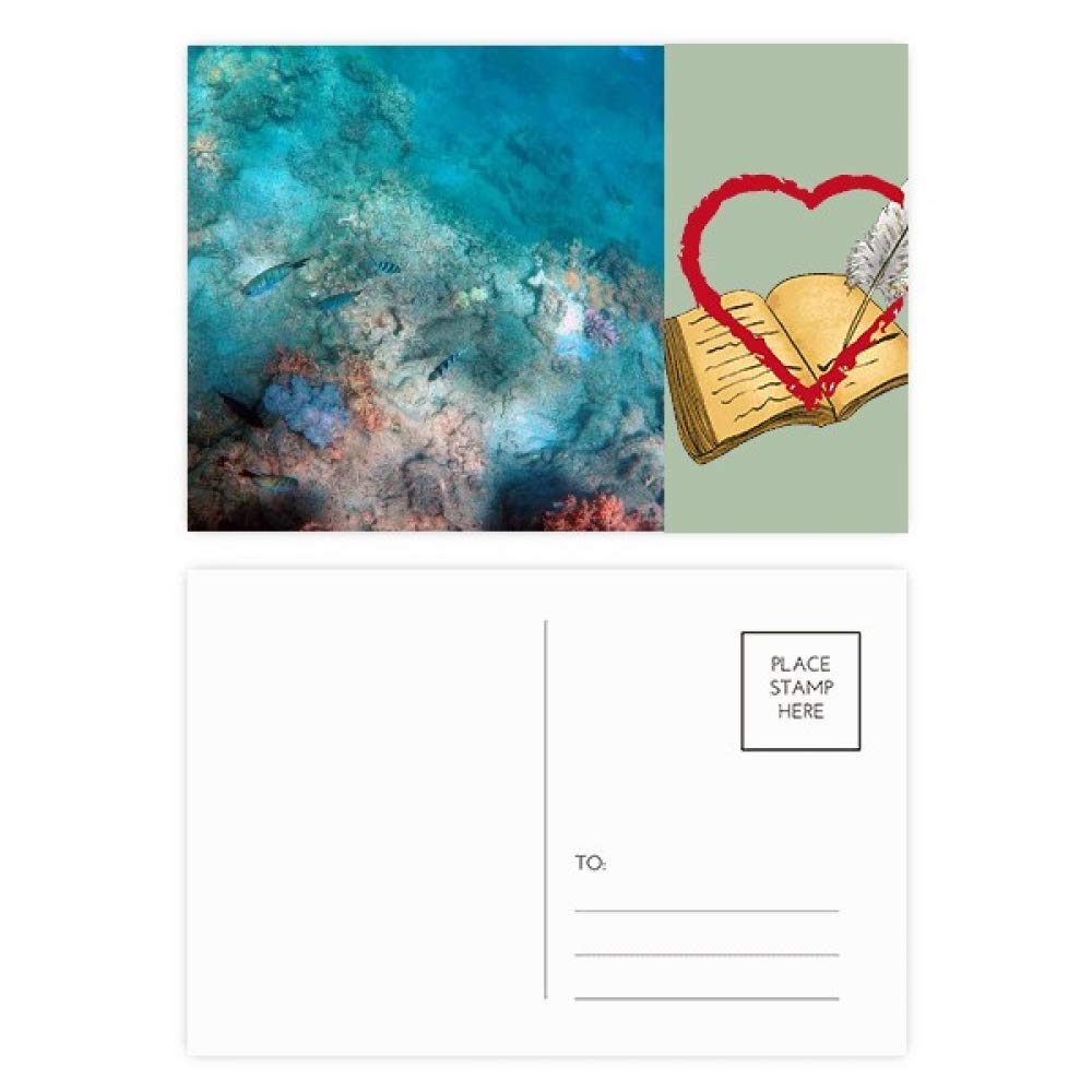 Ocean Colorful Fish Science Nature Picture Diary Day Lot de 20 cartes postales de remerciement