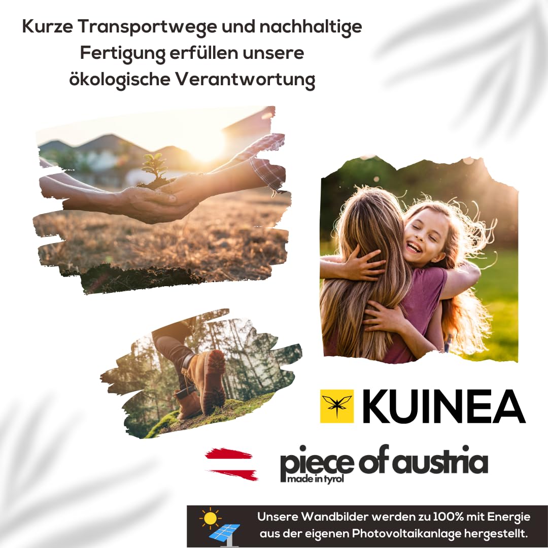KUINEA Wikinger Kompass Wand Ø 42cm Anthrazit Vegvisir Mittelalter Deko